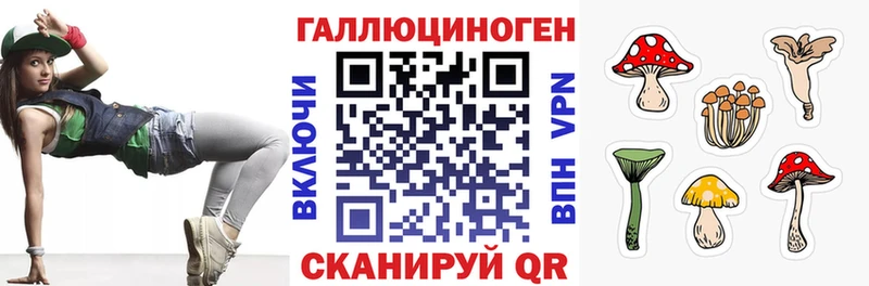 Псилоцибиновые грибы Cubensis  Купить где  Таганрог 